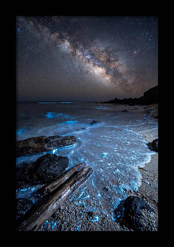 Glowing Tides Beneath Celestial Skies