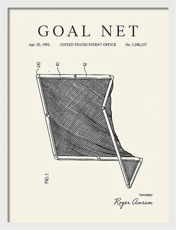 Goal Net Minimalist Patent Us5346227a