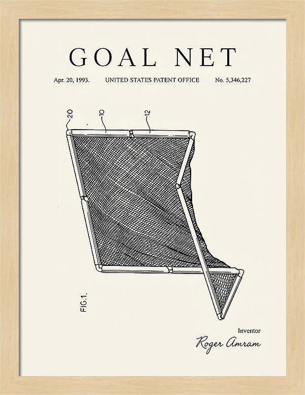 Goal Net Minimalist Patent Us5346227a