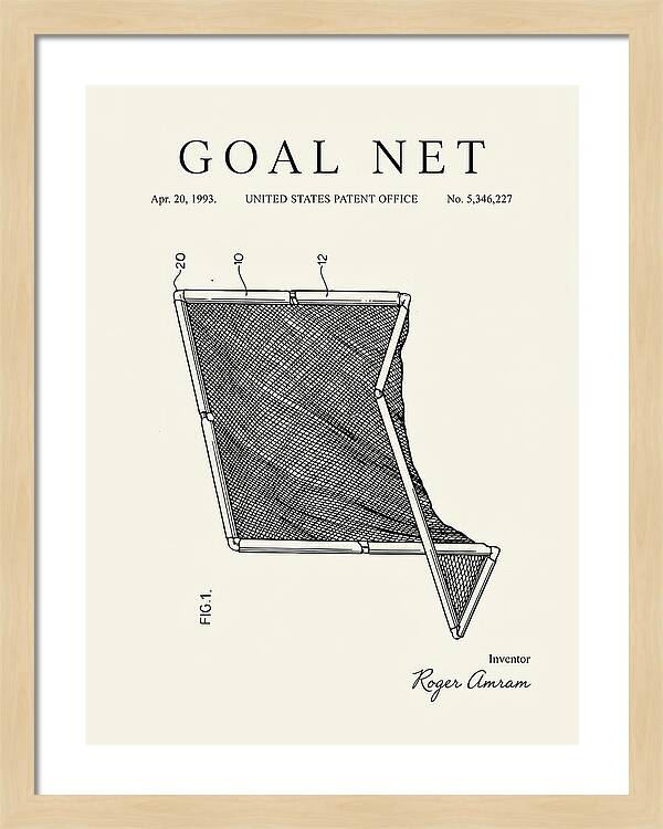 Goal Net Minimalist Patent Us5346227a