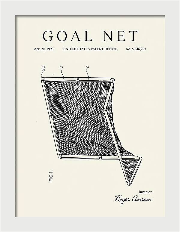 Goal Net Minimalist Patent Us5346227a