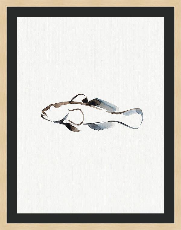 Goby Fish Minimalism