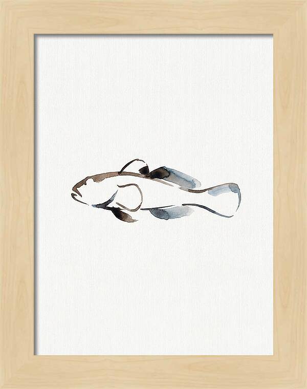 Goby Fish Minimalism