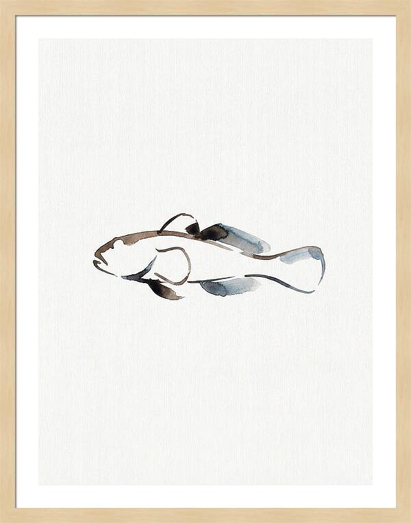 Goby Fish Minimalism