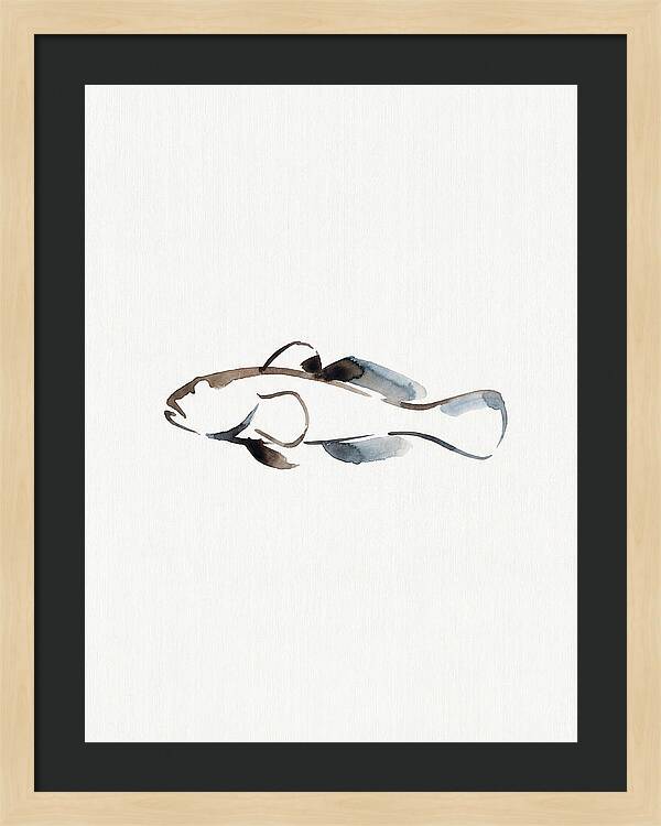 Goby Fish Minimalism