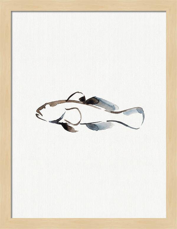 Goby Fish Minimalism