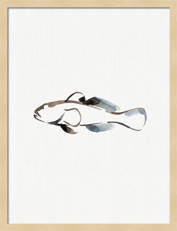 Goby Fish Minimalism