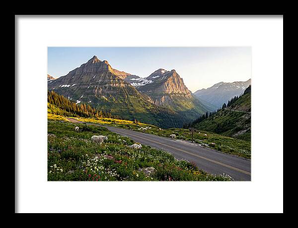 Going To The Sun Road Serenity
