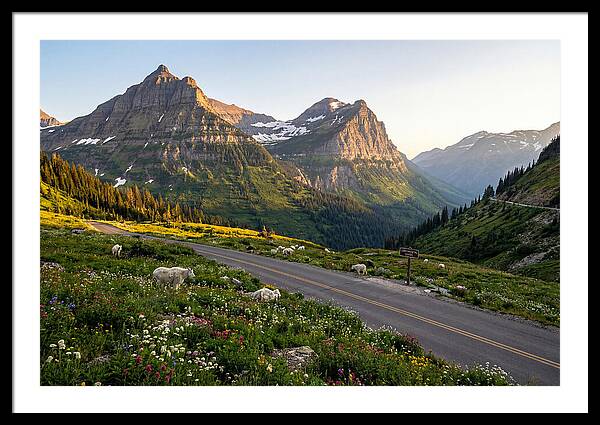 Going To The Sun Road Serenity
