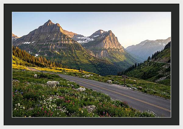 Going To The Sun Road Serenity