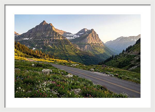 Going To The Sun Road Serenity