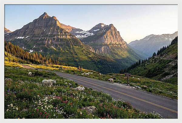 Going To The Sun Road Serenity