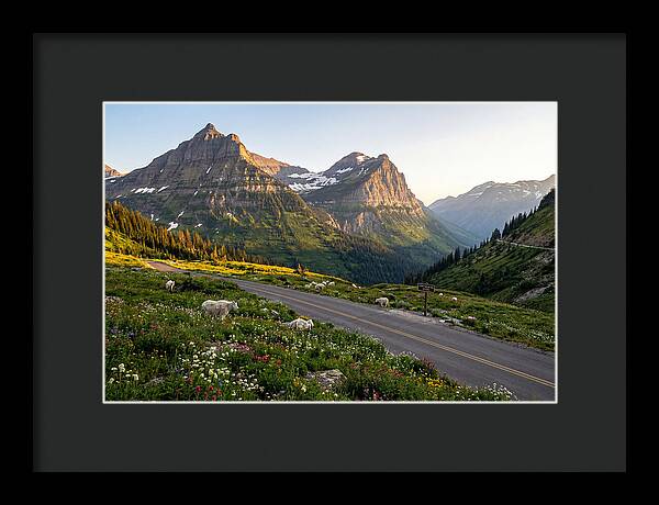 Going To The Sun Road Serenity