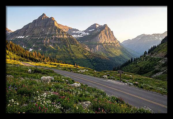 Going To The Sun Road Serenity