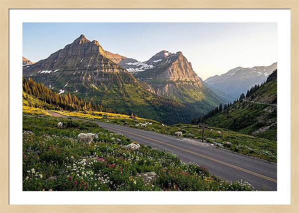 Going To The Sun Road Serenity