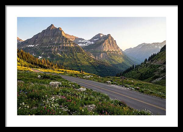 Going To The Sun Road Serenity