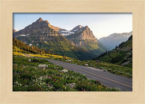 Going To The Sun Road Serenity