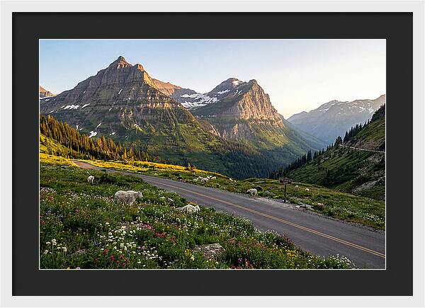 Going To The Sun Road Serenity