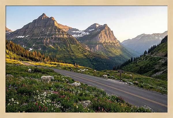 Going To The Sun Road Serenity