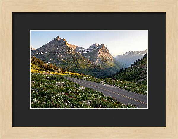 Going To The Sun Road Serenity