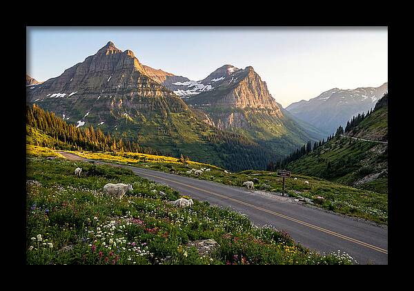 Going To The Sun Road Serenity