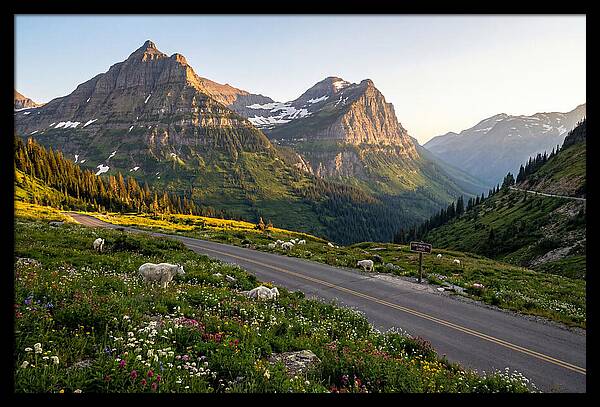 Going To The Sun Road Serenity