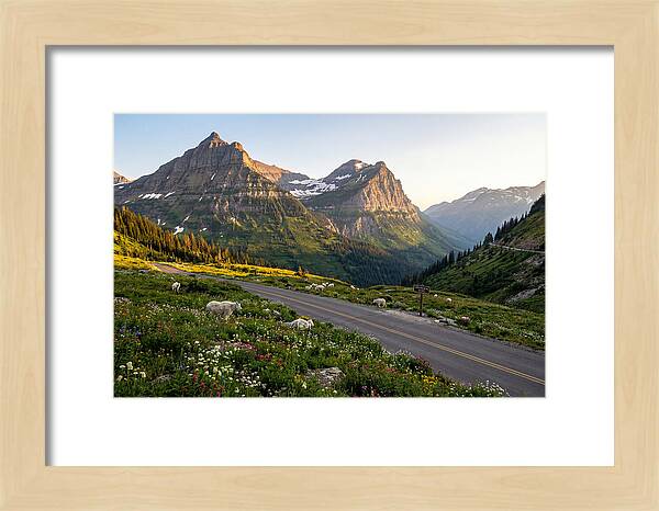 Going To The Sun Road Serenity