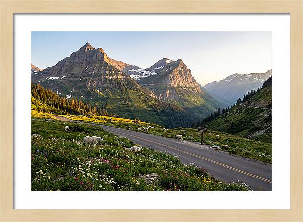 Going To The Sun Road Serenity