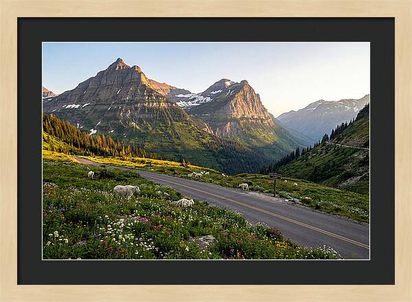 Going To The Sun Road Serenity