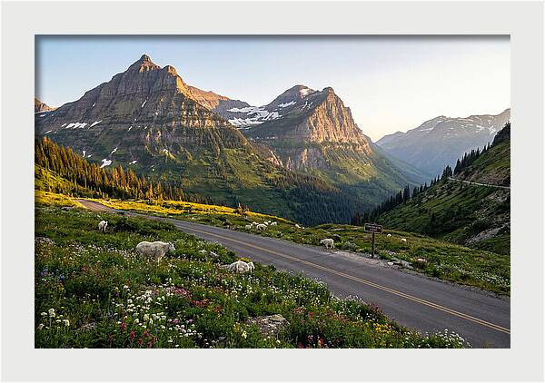 Going To The Sun Road Serenity