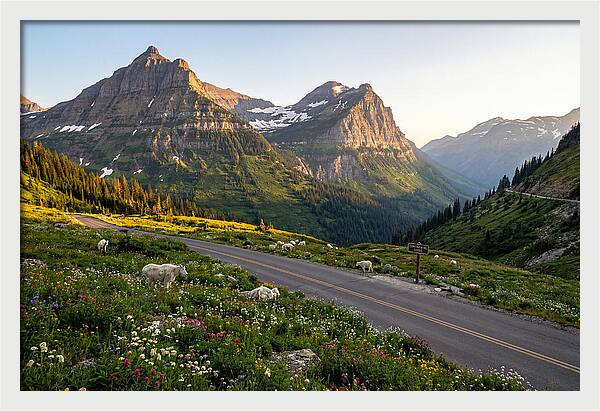 Going To The Sun Road Serenity