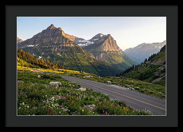 Going To The Sun Road Serenity