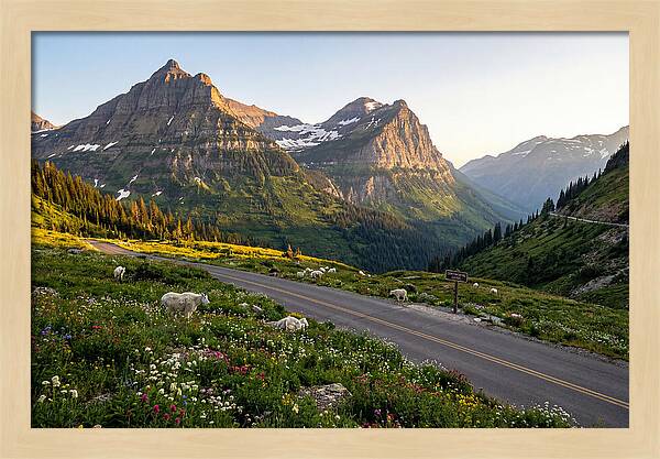 Going To The Sun Road Serenity