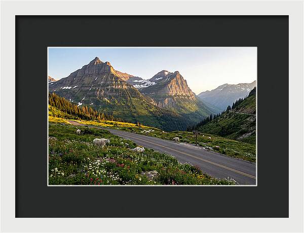 Going To The Sun Road Serenity