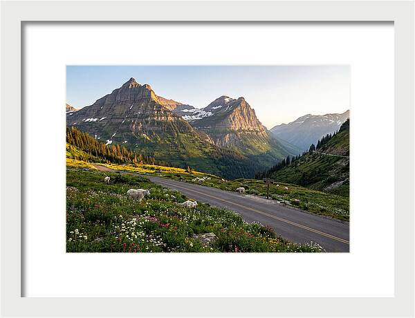 Going To The Sun Road Serenity