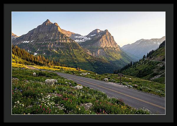 Going To The Sun Road Serenity