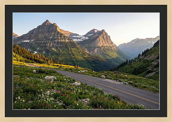 Going To The Sun Road Serenity