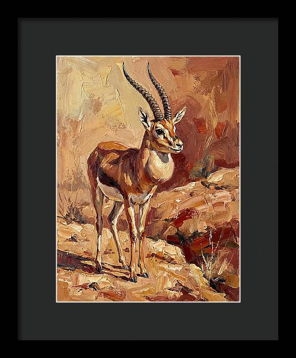 Goitered Gazelle In Desert Landscape
