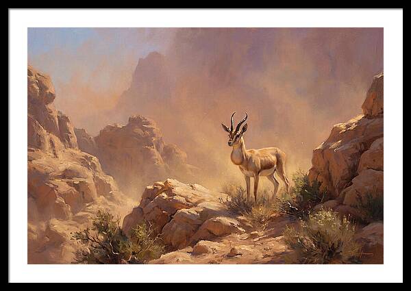 Goitered Gazelle In Desert Serenity