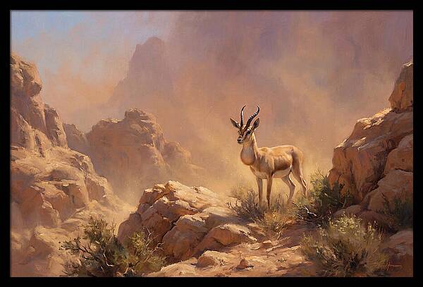 Goitered Gazelle In Desert Serenity