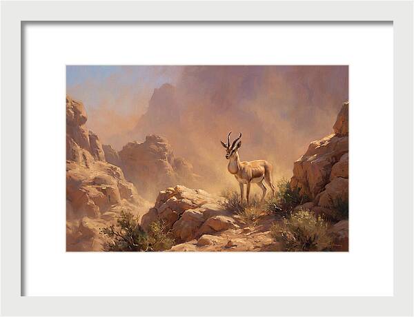 Goitered Gazelle In Desert Serenity