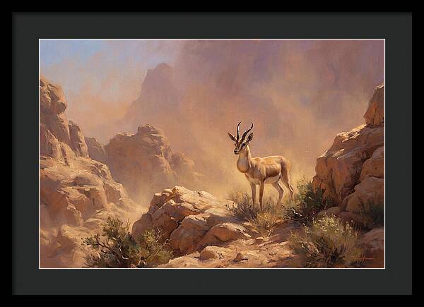 Goitered Gazelle In Desert Serenity
