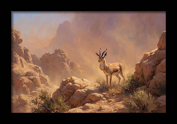 Goitered Gazelle In Desert Serenity
