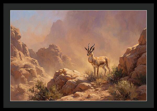 Goitered Gazelle In Desert Serenity