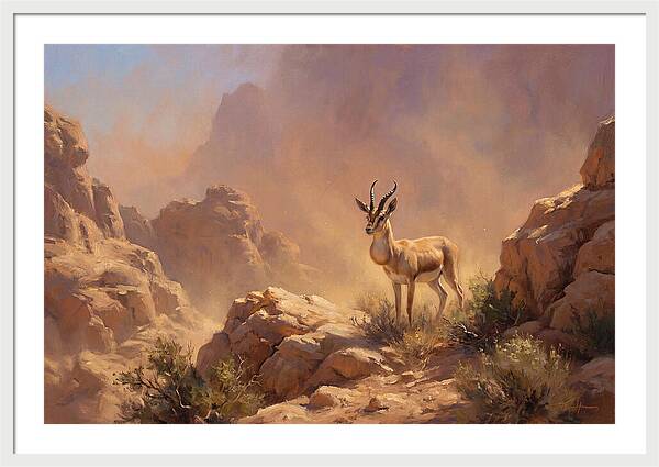 Goitered Gazelle In Desert Serenity