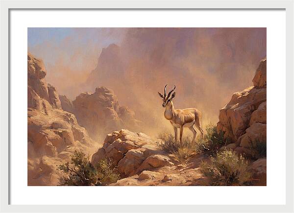 Goitered Gazelle In Desert Serenity