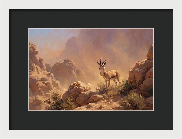 Goitered Gazelle In Desert Serenity