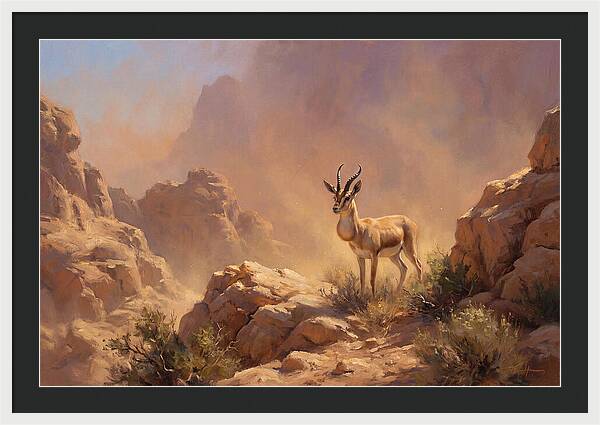 Goitered Gazelle In Desert Serenity