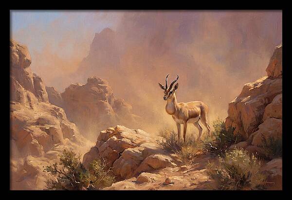 Goitered Gazelle In Desert Serenity