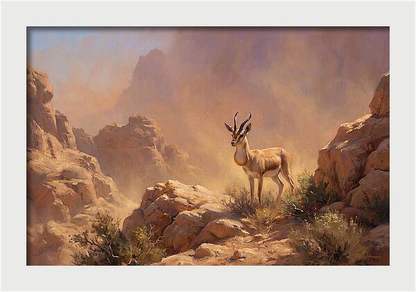 Goitered Gazelle In Desert Serenity
